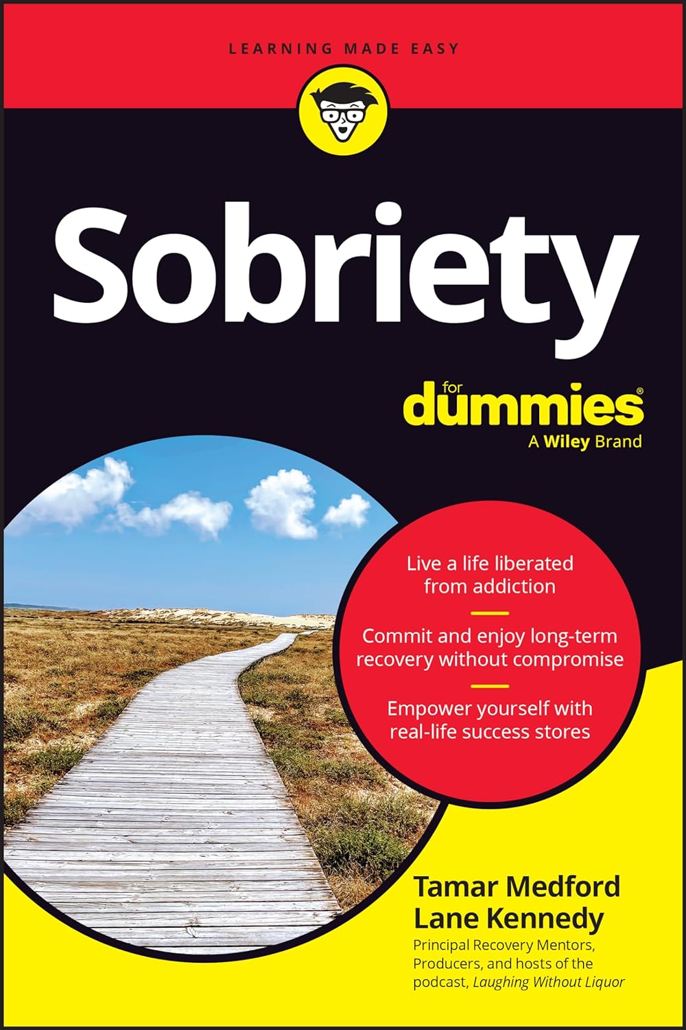 Sobriety for Dummies (1ST ed.) - Corrections Bookstore
