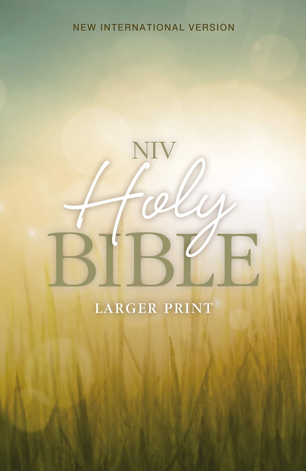 NIV, Holy Bible, Larger Print, Paperback - Corrections Bookstore
