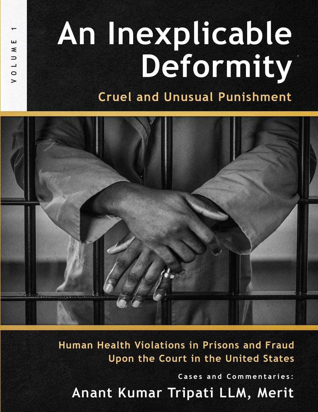 An Inexplicable Deformity: Cruel and Unusual Punishment - Corrections Bookstore