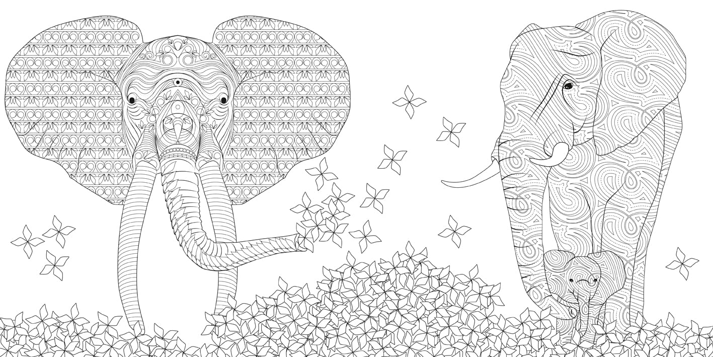 Wild Animals Coloring Book SureShot Books Publishing LLC