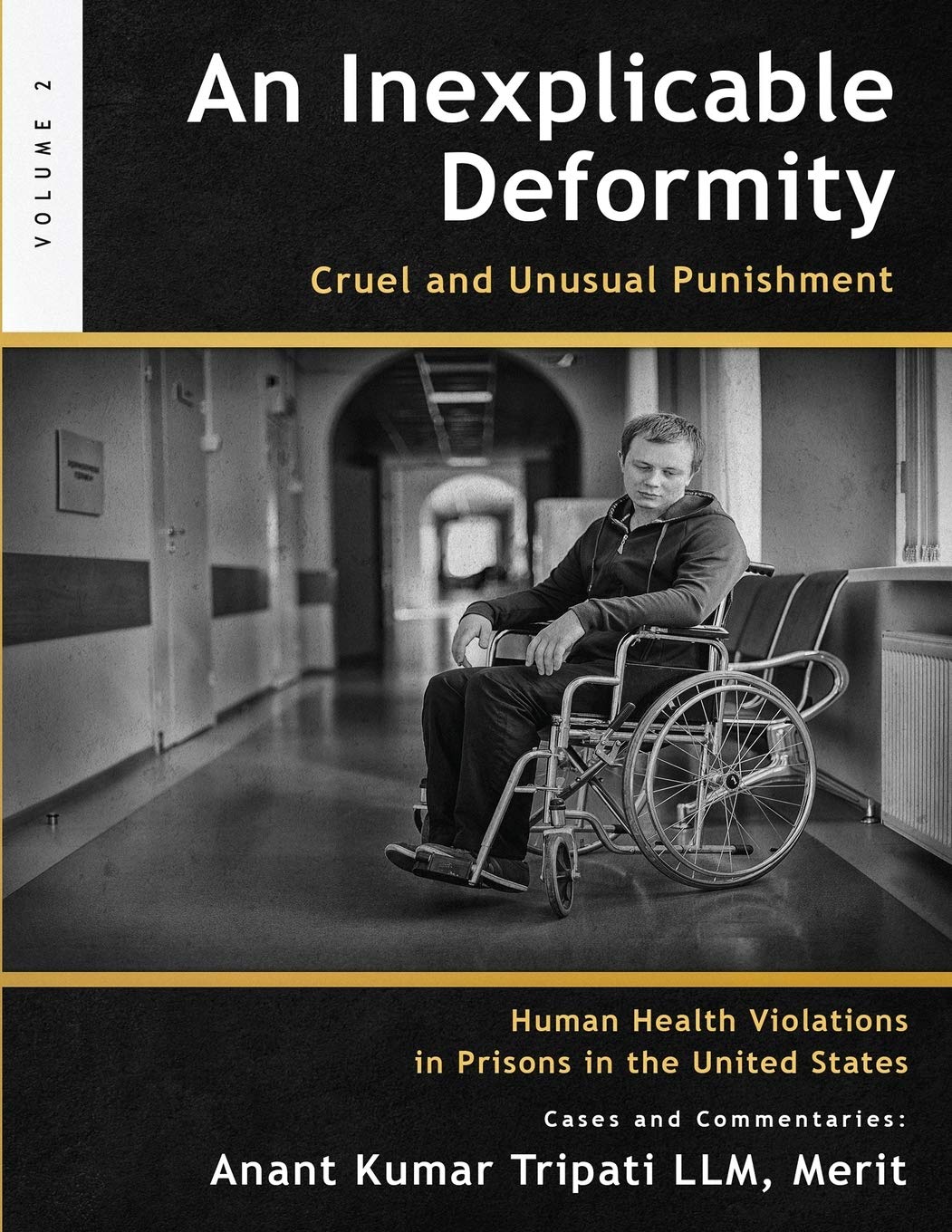 An Inexplicable Deformity: Cruel and Unusual Punishment - Corrections Bookstore
