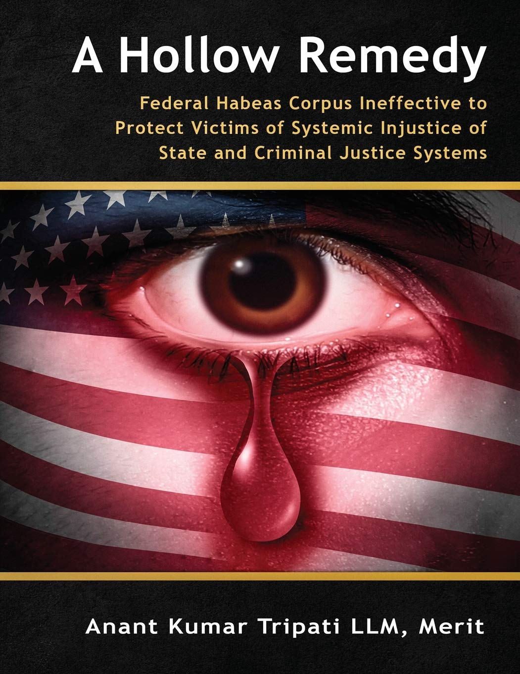 A Hollow Remedy: Federal Habeas Corpus Ineffective to Protect Victims of Systemic Injustice of State and Criminal Justice Systems - Corrections Bookstore