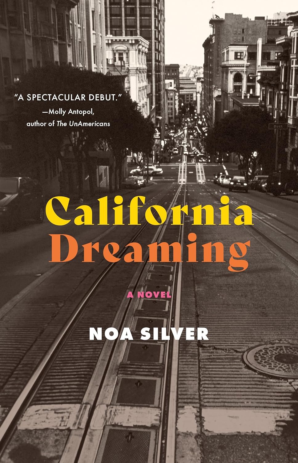 California Dreaming: A Novel - Corrections Bookstore