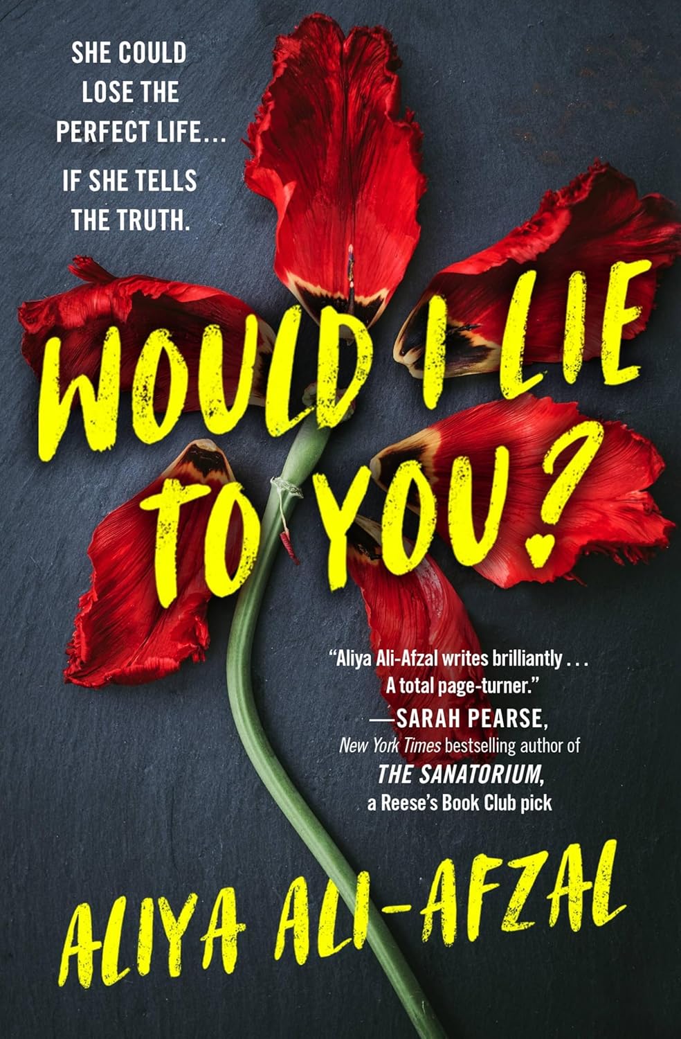 Would I Lie to You? - Corrections Bookstore