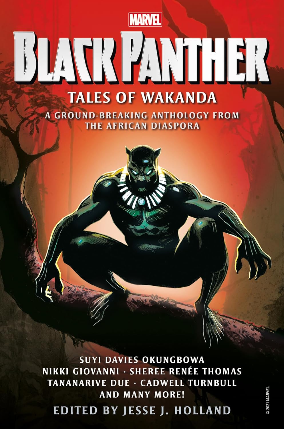 Black Panther: Tales of Wakanda - Corrections Bookstore