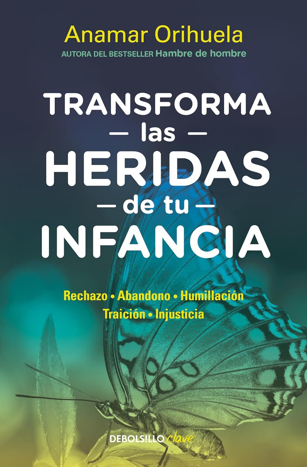Transforma las heridas de tu infancia: Rechazo - Abandono - Humillación - Traici ón - Injusticia / Transform the Wounds of Your Childhood (Spanish Edition) - Corrections Bookstore