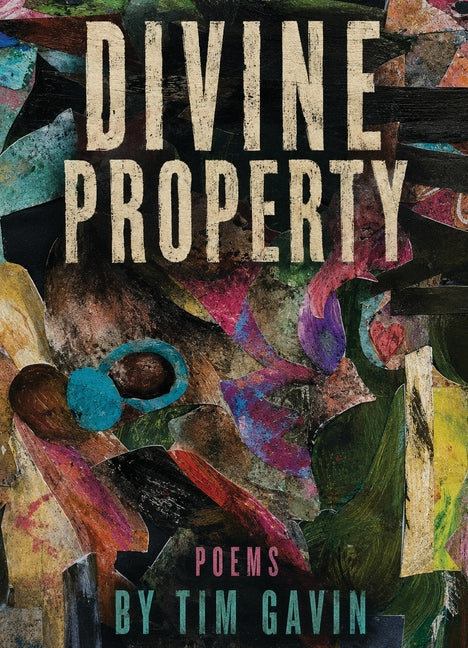 Divine Property by Gavin, Tim