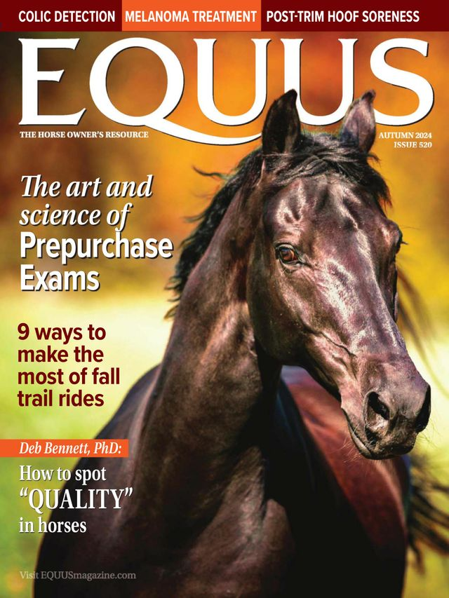 EQUUS MAGAZINE Magazines Subscriptions SureShot Books Publishing LLC
