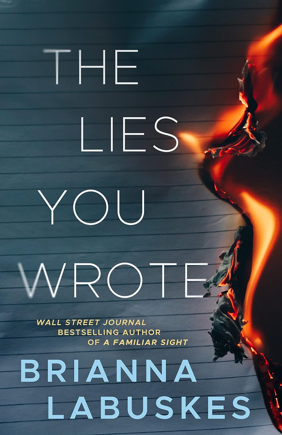 The Lies You Wrote (Raisa Susanto #1) - Corrections Bookstore