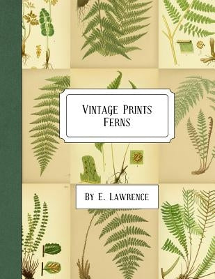 Vintage Prints: Ferns Paperback Createspace Independent Publishing Platform