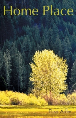 Home Place Paperback Booklocker.com