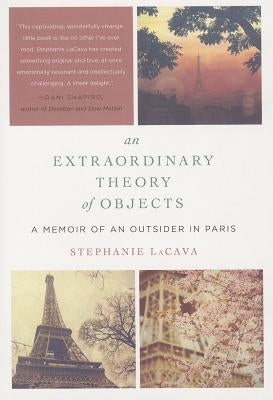 An Extraordinary Theory of Objects Paperback Harper Perennial