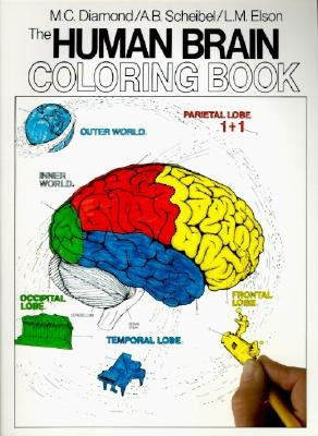 The Human Brain Coloring Book Paperback Collins Reference