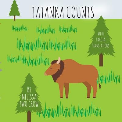 Tatanka Counts Paperback Createspace Independent Publishing Platform