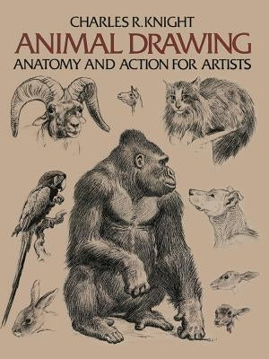 Animal Drawing: Anatomy and Action for Artists Paperback Dover Publications