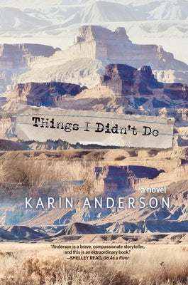 Things I Didn't Do by Anderson, Karin