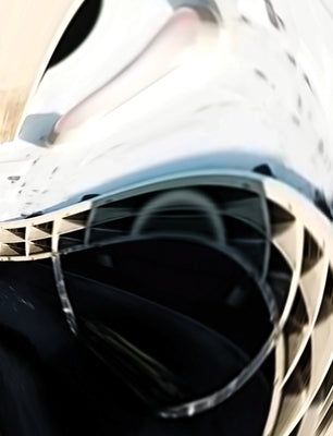 Renée Green: Pacing Paperback Carpenter Center for the Visual Arts, Harvard