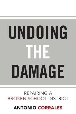 Undoing the Damage: Repairing a Broken School District Paperback Xlibris