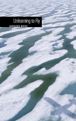 Unlearning to Fly Paperback Bison