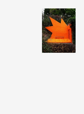 Misarchitectures Paperback AA Publications