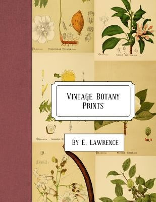 Vintage Botany Prints Paperback Createspace Independent Publishing Platform
