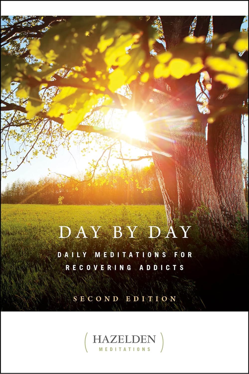 Day by Day: Daily Meditations for Recovering Addicts, Second Edition (Hazelden Meditations) (2ND ed.)