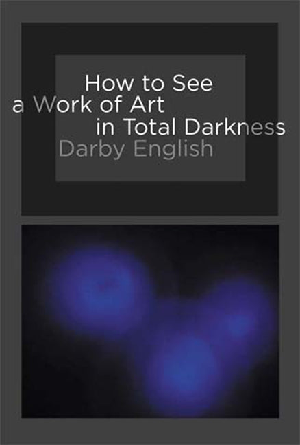 How to See a Work of Art in Total Darkness Paperback MIT Press