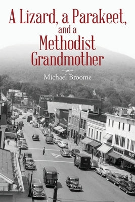 A Lizard, a Parakeet, and a Methodist Grandmother Palmetto Publishing