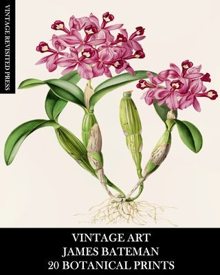 Vintage Art: James Bateman: 20 Botanical Prints: Orchid Ephemera for Framing, Home Decor, Collage and Decoupage Paperback Blurb