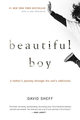 Beautiful Boy: A Father's Journey Through His Son's Addiction by Sheff, David