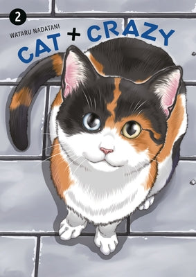 Cat + Crazy Volume 2 by Nadatani, Wataru