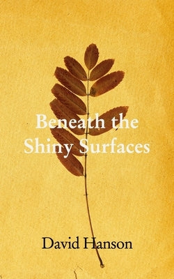 Underneath The Shiny Surfaces Paperback Blurb