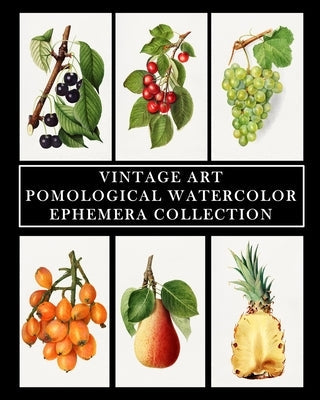 Vintage Art: Pomological Watercolor: Ephemera Collection: Botanical Fruit Prints Paperback Blurb