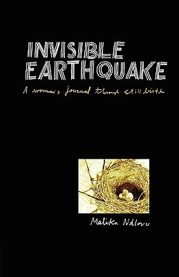 Invisible Earthquake. a Woman's Journal Through Still Birth Paperback Modjaji Books