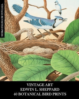 Vintage Art: Edwin L Sheppard:40 Botanical Bird Prints: Ornithology Ephemera for Framing, Home Decor and Collages Paperback Blurb